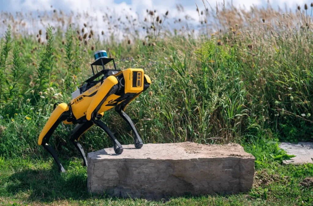 The Spot Robot on a stone slab