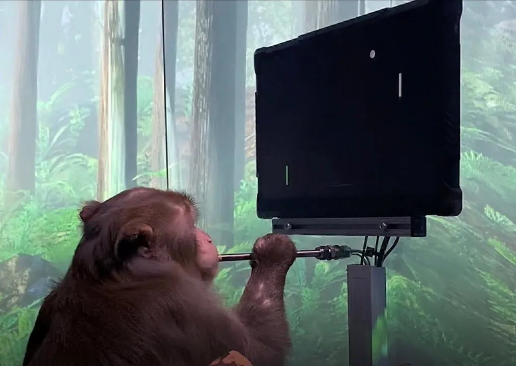 Neuralink Monkey Pong